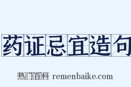 药证忌宜造句是什么意思的图片